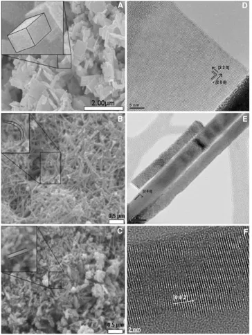 Fig. 1 SEM and TEM imagesof the three WO3 morphologies:a and d rectangular slab, b and enanowire clusters, and c and frod-like structure