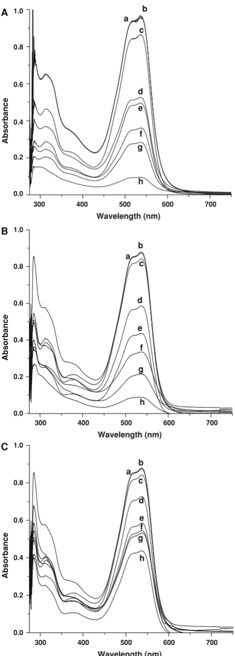 Fig. 8 UV–Vis absorption spectral changes of Procion MX-5B dye