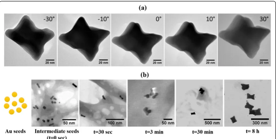 Fig. 3 Morphology and growth of Au NM (nanosteps in the formation of NM type Au NSs. The solution taken from the growth solution at different time points was added directly to TEM gridmakura)