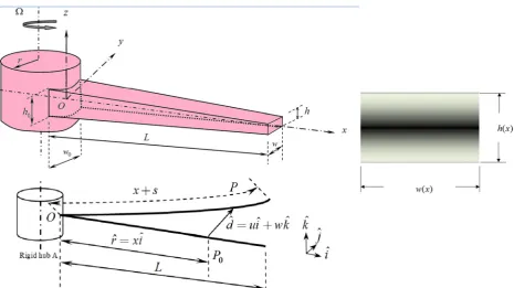 Fig. 1 Configuration of the functionally graded double-tapered rotating beam