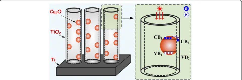 Fig. 1 Schematic structural diagram of Cu2O-TiO2 NTA heterojunction. Under visible light illumination, the electrons were excited to theconduction band of Cu2O particles and then transferred to the conduction band of TiO2 for the matching band gap structure