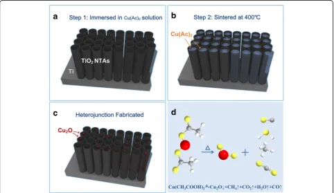 Figure 3is an electrolytic process which converts the outer surfaceof metals into an oxide layer or pore structure
