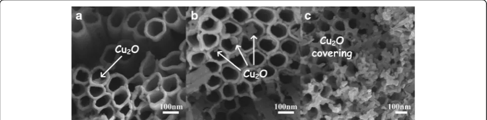 Fig. 5 Typical SEM images of the Cu2O-TiO2 NTA heterojunction films. a Sample immersed in 0.2 mol/L Cu(Ac)2