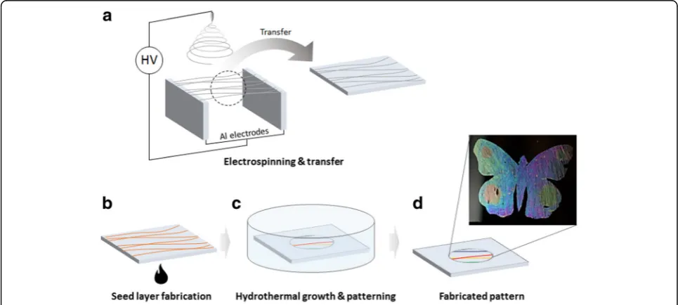 Fig. 1 Schematic illustration of the aligned zinc oxide (ZnO) structural color fabrication process.nanofiber, heat treatment is performed at 500 °C to form a seed layer.performed in a constant temperature bath.vertical direction between parallel electrodes