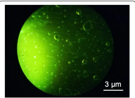 Fig. 5 An optic image of onion epidermal cells dyed using CQDsilluminated by a blue light source