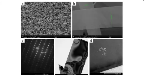 Fig. 2 The morphology images of CdSSe NBs. a SEM at low magnification. b SEM at high magnification