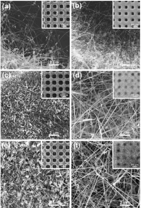 Fig. 2 SEM images of TiO2 1D nanostructures synthesized atdifferent conditions. Illustration of the effect of catalytic materials:the nanostructures were synthesized without (a) and with (b) catalyticmaterial Ni at 850 �C for 60 min