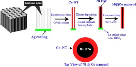 Fig. 1 Schematic diagram showing the synthesis of Ni @ Conanorods