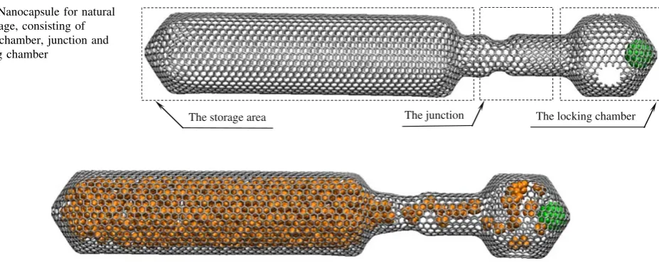 Fig. 1 Nanocapsule for natural