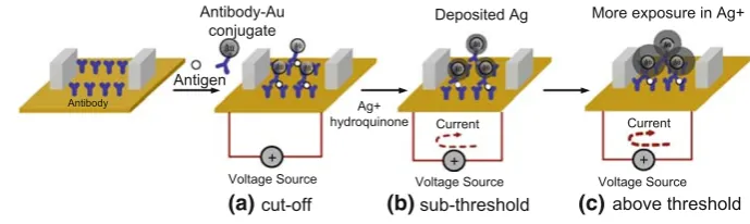 Fig. 1 The operating principleof the silver-enhancedbiomolecular transistor withthree distinct regions of theoperation