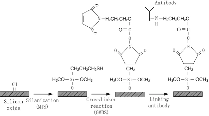 Fig. 2 The high-density interdigitated microelectrode biosensor