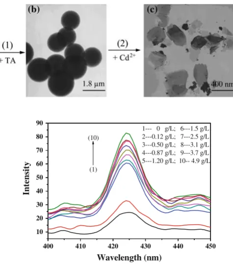 Fig. 2 Formation and detection