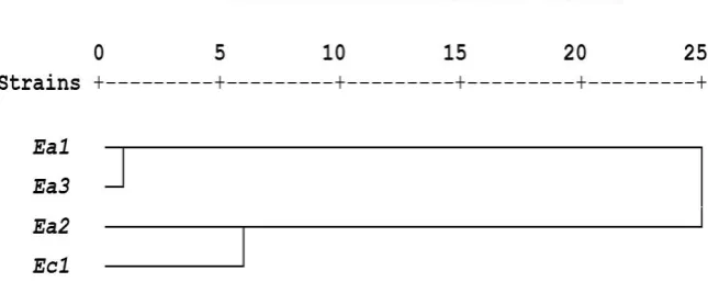 Table 1: Resistance pattern of different commercial antibiotics among Enterobacter strains 