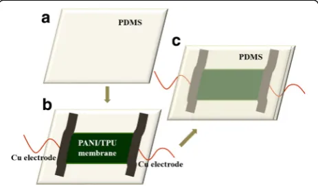 Fig. 1 Schematic illustration of the sensor assembly process