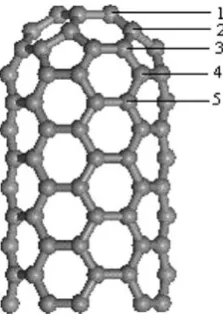 Fig. 1 The geometrical structure of capped (5, 5) C-SWNT. Thenumbers denote the different doping position of the substitutionalatom and the atomic layer
