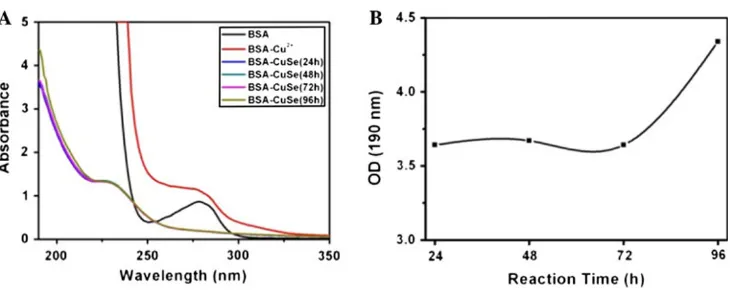 Fig. 2 a UV–vis absorptionspectrum of BSA, BSA–Cu2?,BSA–CuSe at 24 h, BSA–CuSeat 48 h, BSA–CuSe at 72 h,BSA–CuSe at 96 h; b Thechange of absorbance at 190 nm