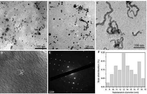 Fig. 4 TEM images showing oriented attachment of cubic copperselenide in BSA solution for 48 h