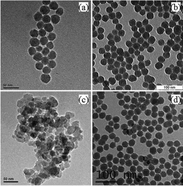 Table 1 Mass loss of functionalized nanoparticles after the TGA process