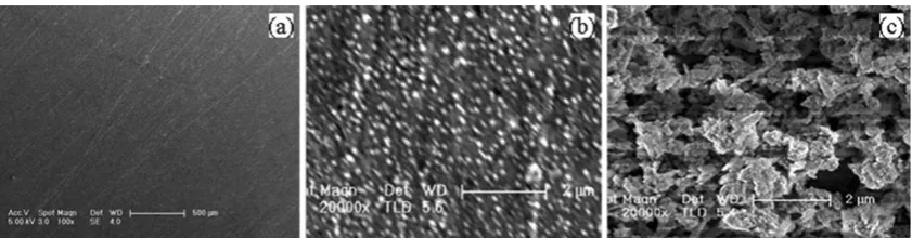 Fig. 3 Diameter distribution of functionalized nanoparticles