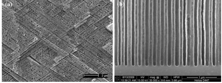 Fig. 1 Cross-sectional view of a crystallographical pores in (100) n-type InP, b currentline pores in (100) n-type InP