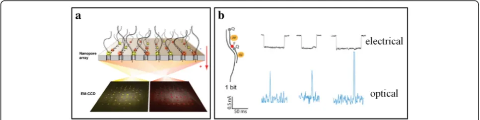 Fig. 5 Total internal reflection fluorescence (FTIR) parallel detection of DNA sequence [58]