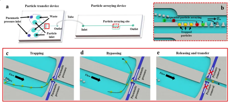 Fig. 1 Device design and operation mechanism. a Schematic illustration of the particle transfer device and particle arraying device