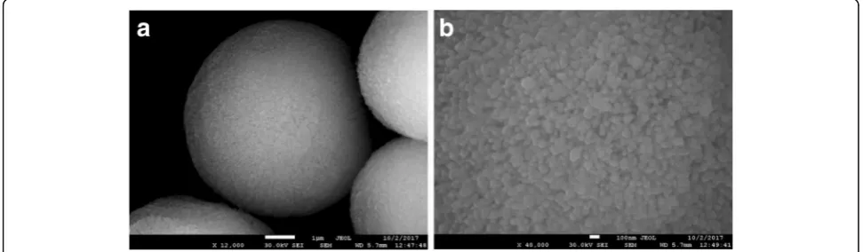 Fig. 1 Scanning electron microphotographs of calcium carbonate microparticles (a) and their surface at a higher magnification (b)