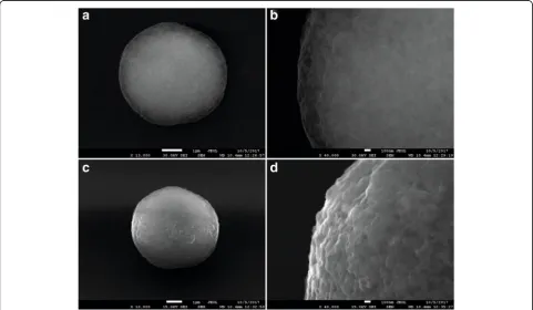Fig. 3 Preparation procedure for microcapsules encoded with quantum dots: formation of the layers of the polycation (1) and polyanion (2), the PAHand PSS polyelectrolytes, respectively, on the matrice surface; encoding of the resultant microparticles with quantum dots and further layer-by-layerpolymers deposition (3); removal of the calcium carbonate core (4)