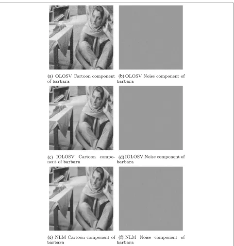 Fig. 4 OLOSV, IOLOSV, and non-local means denoising results for barbara image. a OLOSV cartoon component of barbara