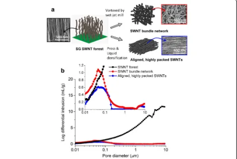 Fig. 2 a Schematic for conversion of SG SWNT forest into the SWNT bundle network or the aligned, highly packed SWNTs and their SEM images,and b comparison of pores for these SWNT structures (Inset: the cutout at log differential intrusion of 0–1.2 mL/g), showing that the sparsely todensely packed SWNT structures can be classified depending on the pores