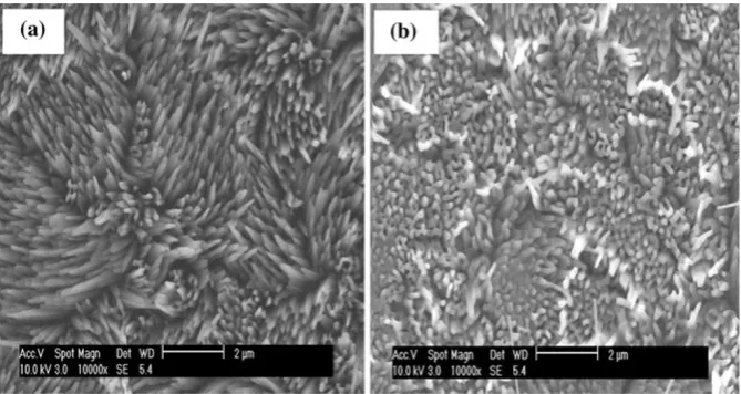 Fig. 1 SEM top-view images of