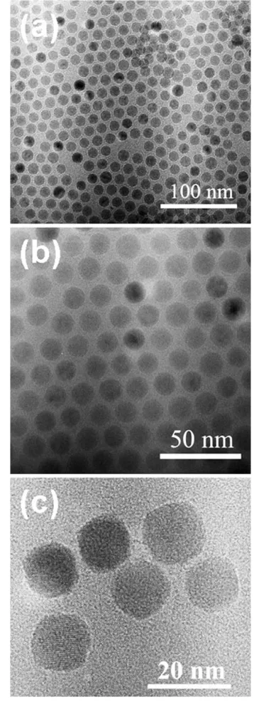 Fig. 1 aTEMimageof14-nmFeO/Fe3O4core–shellNCs.b Microscopy of the same NCs at higher magniﬁcation