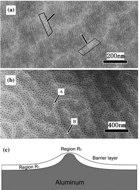 Fig. 5 a The surface morphology of the porous alumina ﬁlms underthe anodizing voltage of 5 V, b the surface morphology of the porousalumina ﬁlms under the anodizing voltage of 15 V, c schematicdiagram of the barrier layer structures formed at the initial stage ofanodizing at a relatively low voltage