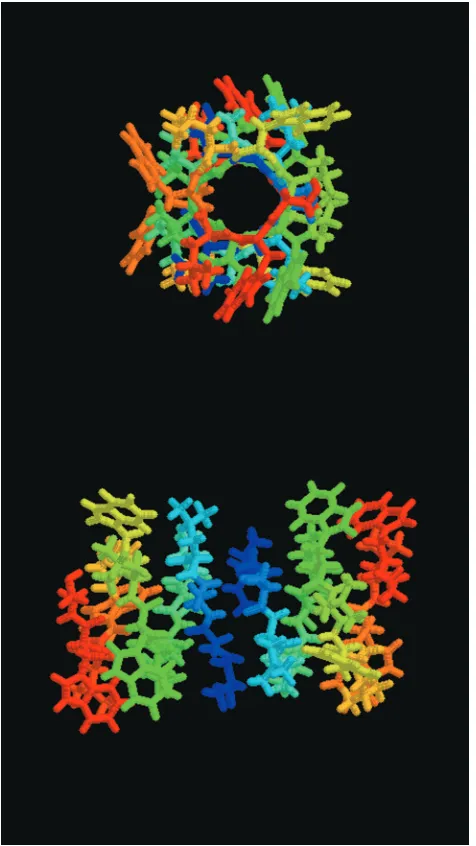 Figure 1. The gA dimer structure (PDB structure 1MAG).ToppictureistheviewthroughthegAchannelandlowerpictureis the side view