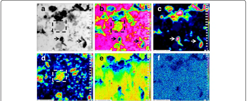 Fig. 4 EPMA analyses of sintered nanocomposites with 0.2 wt% graphenes and 0.8 wt% MWCNTs