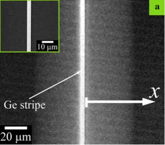 Figure 1a shows the SEM micrograph of the stripe in a