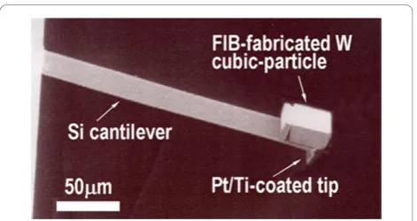 Figure 1 The concentrated-mass (CM) cantilever. The CM wasfocused ion beam (FIB)micro-machined from a 20-μm-thick tungsten film using a.