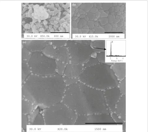 Figure 2 SEM micrographs of (a) nanocrystalline HA powders prepared by sol–gel (after route1), (b) polished cross-section of HAwater vapor-assisted sintered compact (950°C for 1 h) showing a dense and uniform microstructure, (c) polished cross-section of H