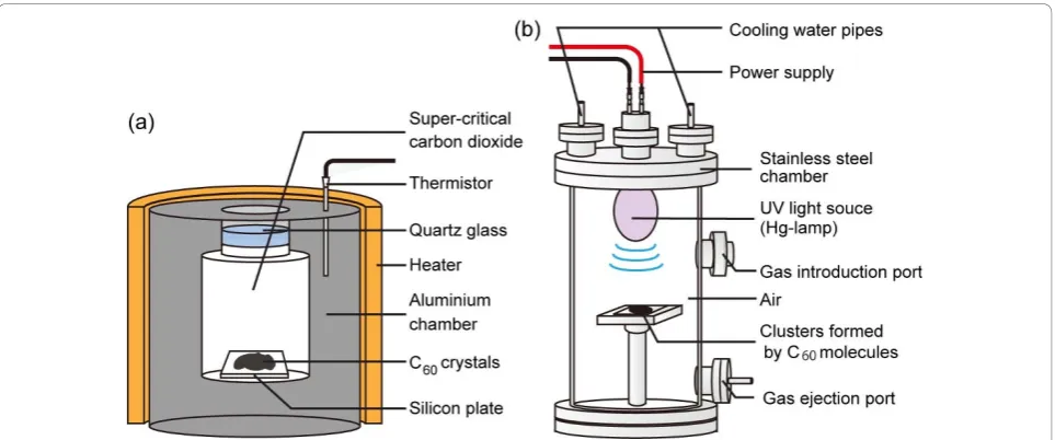 Figure 2 Formation of clustersdioxide under supercritical conditions (36.0°C) for 24 h.