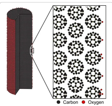 Figure 6 Outline of a reinforced fibre composed of Cself-assembled in supercritical carbon dioxide (36.0°C)