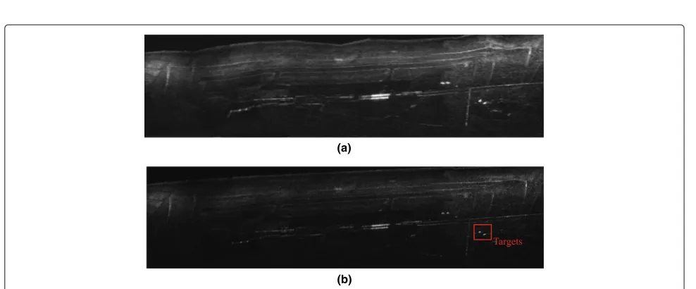 Fig. 14 a Image result without residual RCM correction. b Image result with residual RCM correction
