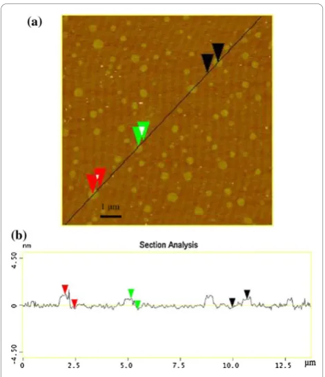Figure 2 Tapping mode AFM image of GONs-OA (a) and heightprofiles in selected location (b).