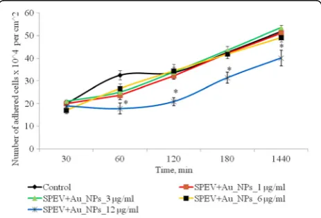 Fig. 2 Dynamics of adhesion of SPEV cells after exposure of AuNPs,*p ≤ 0.05 is significant versus with the control