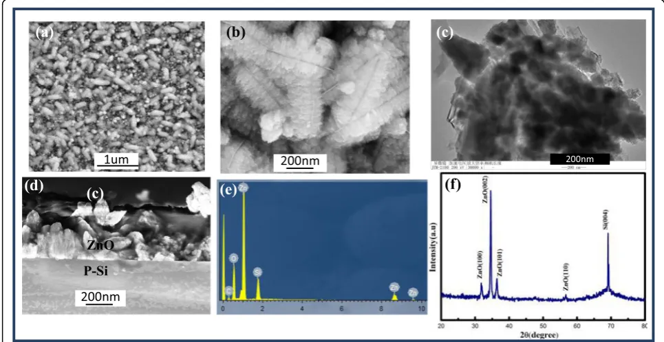 Fig. 1 a, b The SEM images of feather-like ZnO grown on silicon. c The TEM image of individual feather-like ZnO
