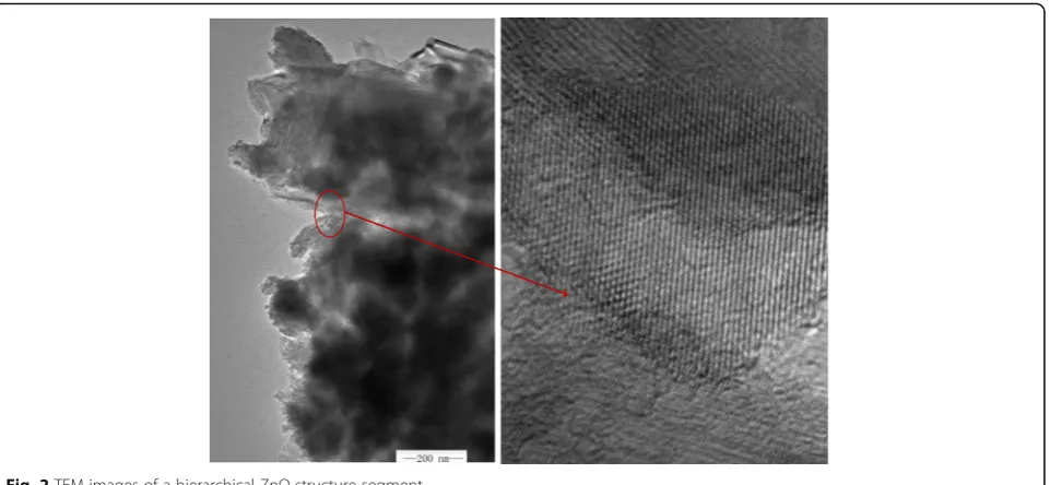 Fig. 3 SEM images of ZnO grown on silicon nanowires: a morphology and b cross section
