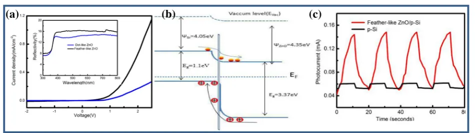 Fig. 6 a I-V curves of feather-like ZnO/Si and nano-dot ZnO/p-Si; the insert is the reflection spectra