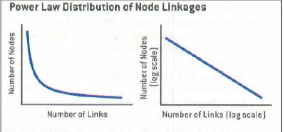Figure 2.  Scale-free networks have a power law distribution of nodes.37