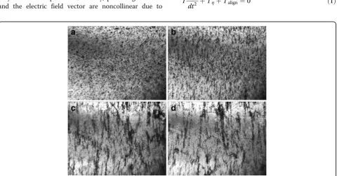 Fig. 1 Optical images of electricalaction. Image size 10.8 × 8.0 mm “breakdown” formation in 0.05 wt% GNPs/Larit 285 composite under AC electric field action of strength of36 kV/m, frequency of 15 kHz (embedded electrodes): a—before electric field action; b—after 100 s; c—after 140 s; d—after 160 s of electric field2