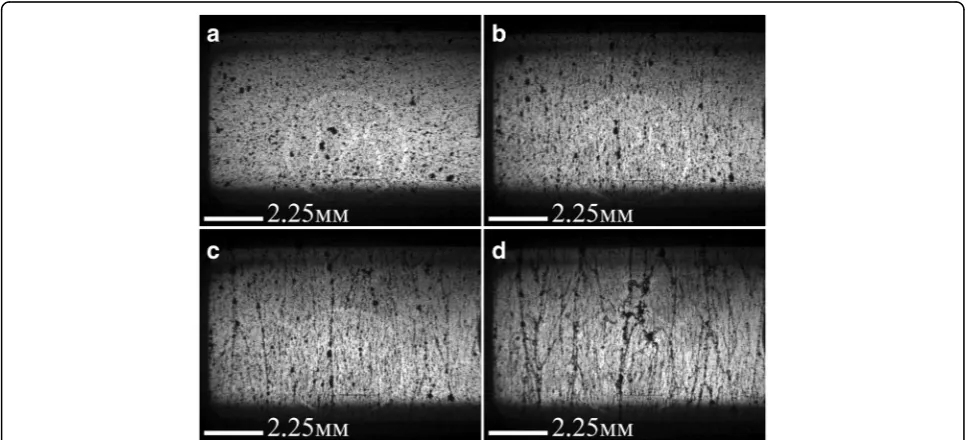 Fig. 3 Optical images of 0.05 wt.% MWCNTs/Larit 285 composite under AC electric field action (frequency of 15 kHz, strength of 83.3 kV/m) (embedded electrodes):Image size 10,8 × 8,0 mm a – before electric field action; b – after 12 min; c – after 26 min; d – after 60 min of electric field action.2 [26]