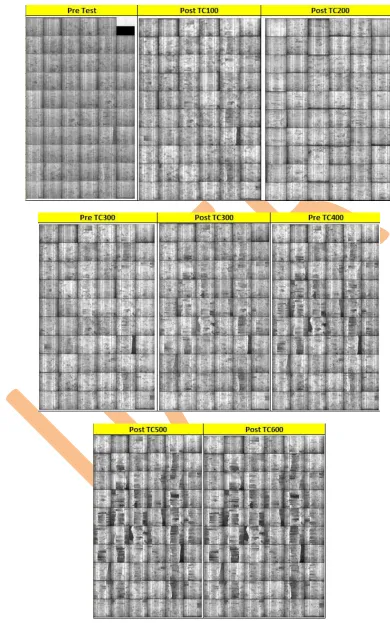 Fig 6: EL Images of PV Module during TC Tests 